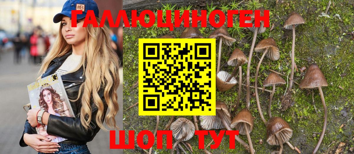 Галлюциногенные грибы Psilocybine cubensis  Вход с VPN  Великий Новгород  Галлюциногенные грибы прущие грибы 